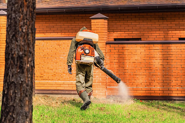 Trusted Rodent Control service in Thorndale, PA - Nex Pest Control